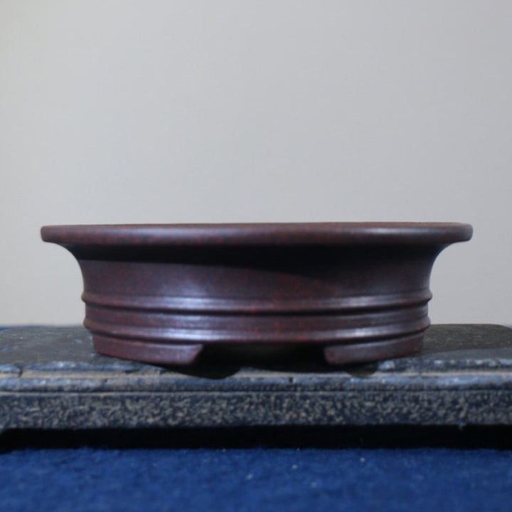 6.3 inch (16cm) Round Unglazed Shallow Bonsai Pots with Flared Rim and Raised Lines