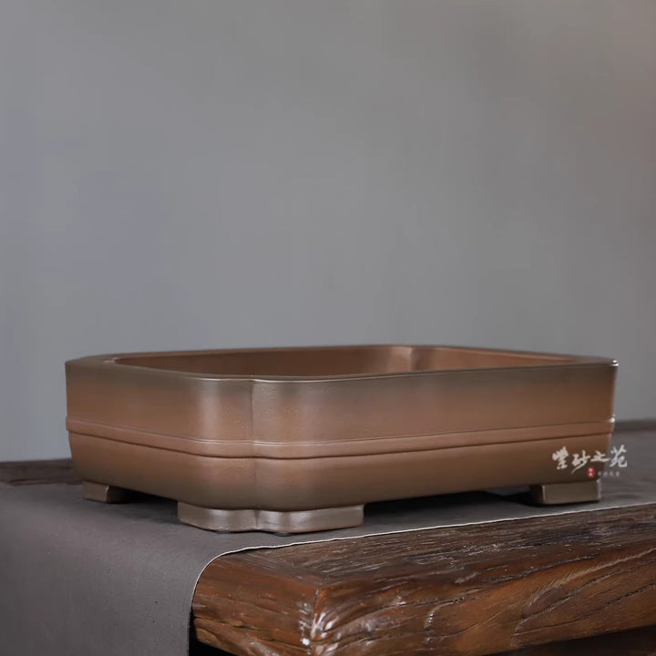 Pot à bonsaï premium rectangulaire grand format 14,6" (37,2 cm) à coins enfoncés bicolore