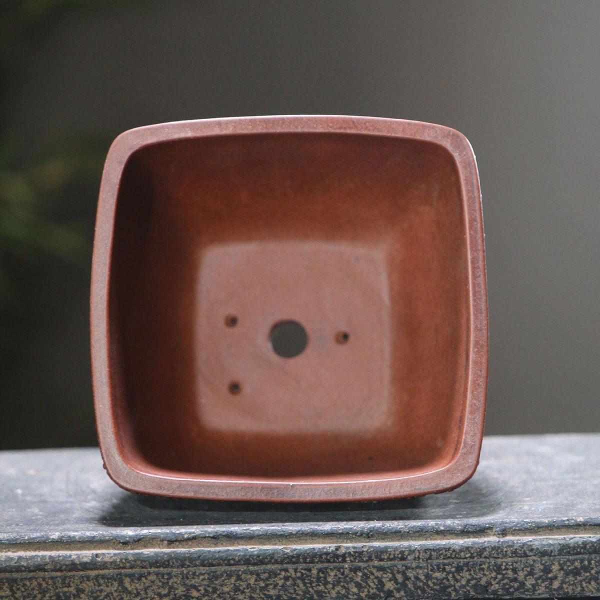 4.5" Small Square Antique Style Premium Pot - Potscape