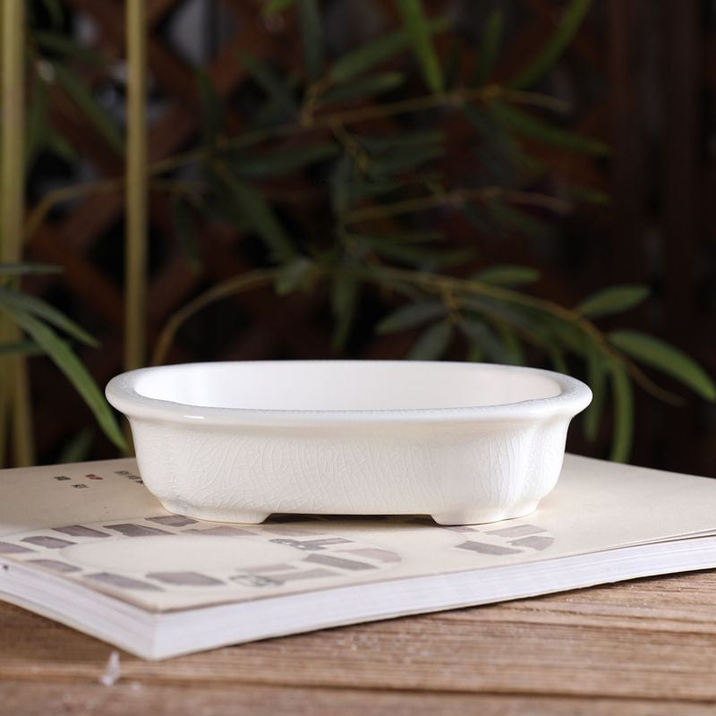 5.5" (14cm) Small Shallow Rounded Rectangular Glazed Shohin Bonsai Pots White Color