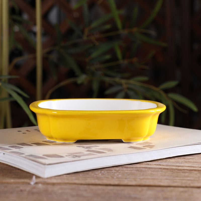 5.5" (14cm) Small Shallow Rounded Rectangular Glazed Shohin Bonsai Pots Yellow Color