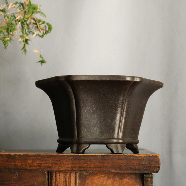 5.7 inch (14.5cm) Deep Hexagonal Flared Premium Black Semi Cascade Bonsai Pot