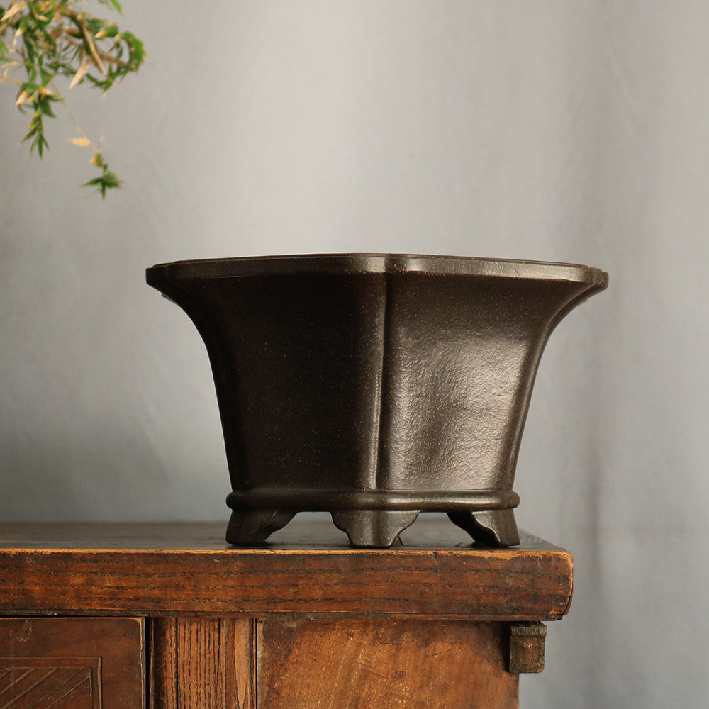 5.7 inch (14.5cm) Deep Hexagonal Flared Premium Black Semi Cascade Bonsai Pot Corner View