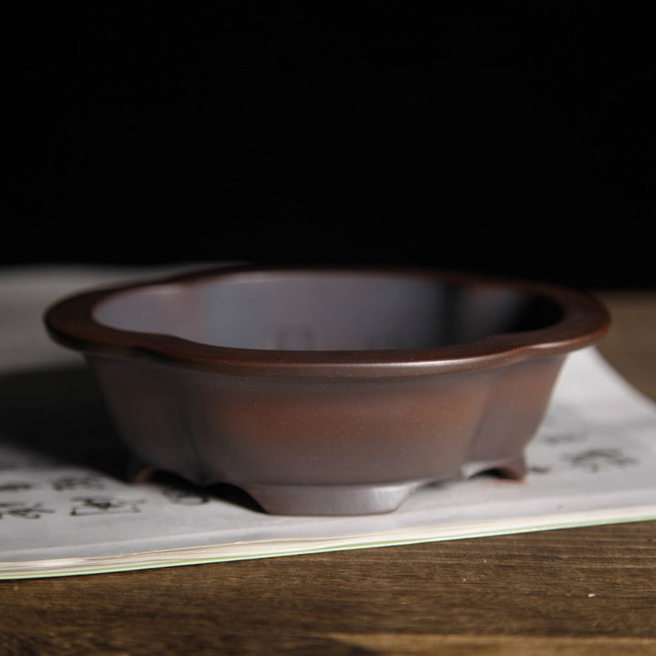 5.9 inch (15cm) Small Lotus-Shaped Gradient Finish Unglazed Wood-Fired Premium Bonsai Pot