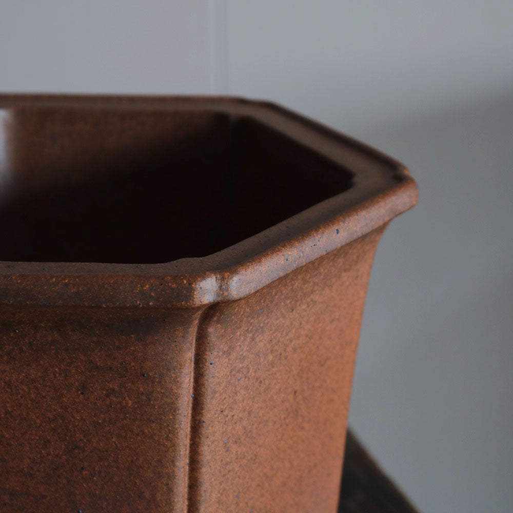 6.3 inch (16cm) Deep Hexagonal Speckled Finish Premium Semi Cascade Bonsai Pot Top Close Shot