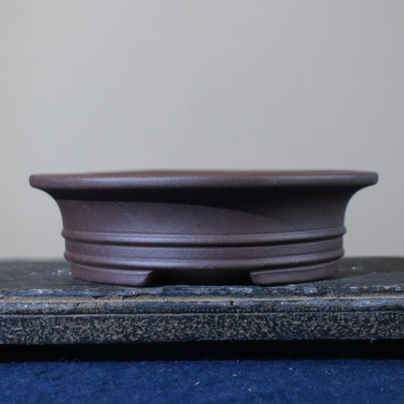 6.3 inch (16cm) Round Unglazed Shallow Bonsai Pots with Flared Rim and Raised Lines