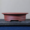 6.3 inch (16cm) Round Unglazed Shallow Bonsai Pots with Flared Rim and Raised Lines