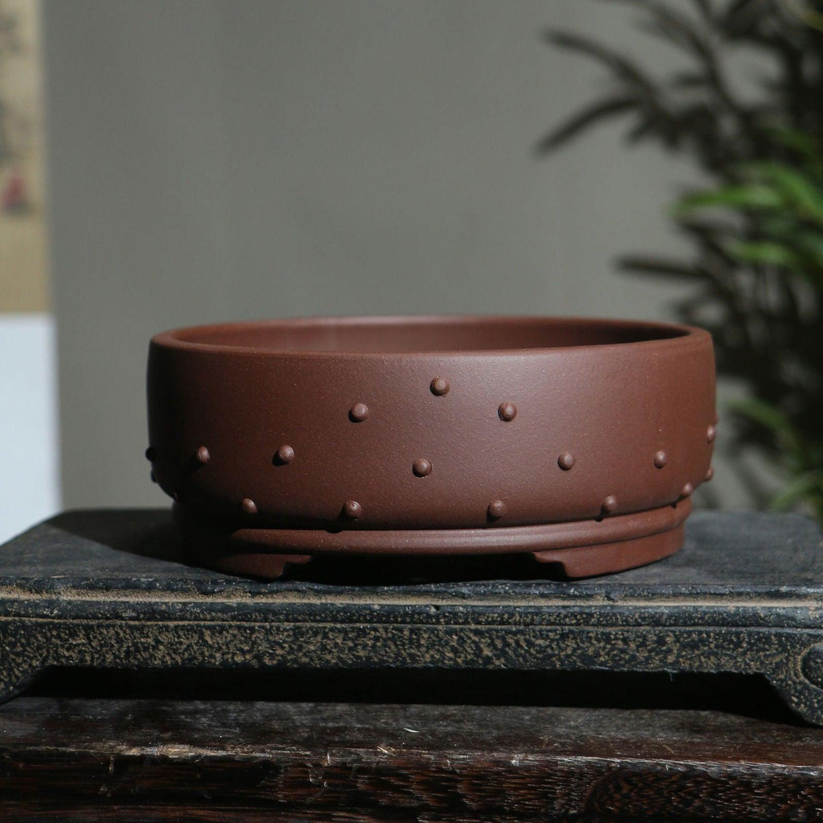 6.5" Round Studded Round Raised Feet Pots - Potscape