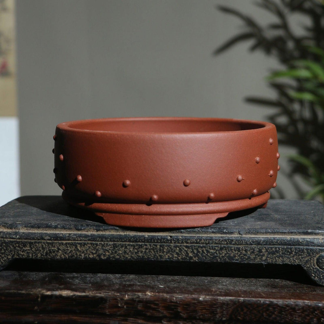 6.5" Round Studded Round Raised Feet Pots - Potscape