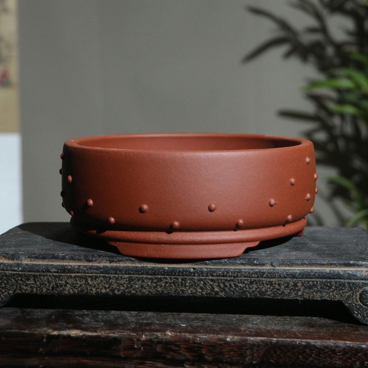6.5" Round Studded Round Raised Feet Pots - Potscape