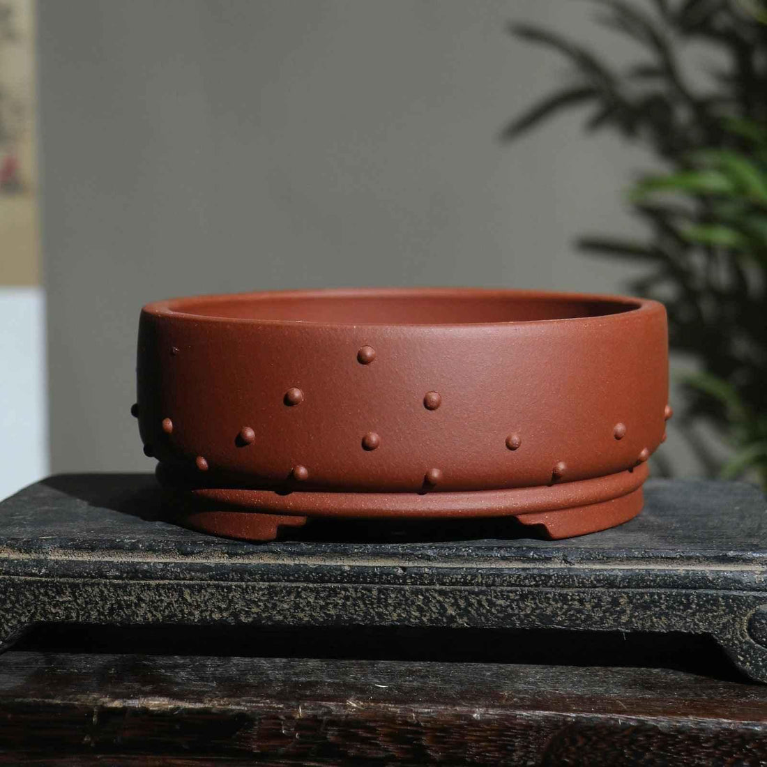 unglazed ceramic pots for plants 6.5" (16.5cm) Small Round Studded Drum Unglazed Ceramic Bonsai Pots – Mypotscape