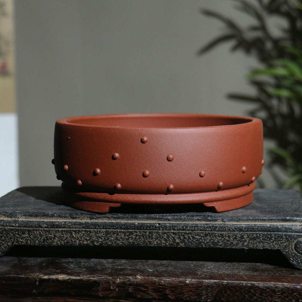 6.5" Round Studded Round Raised Feet Pots - Potscape