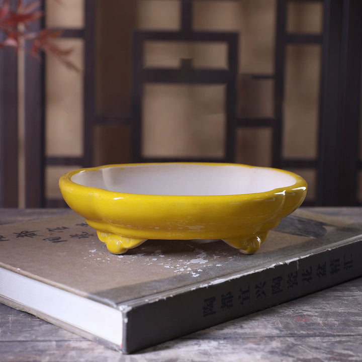 6.5 inch (16.5cm) Small Lotus-Shaped Curled Cloud Feet Glazed Traditional Bonsai Pot Yellow Color