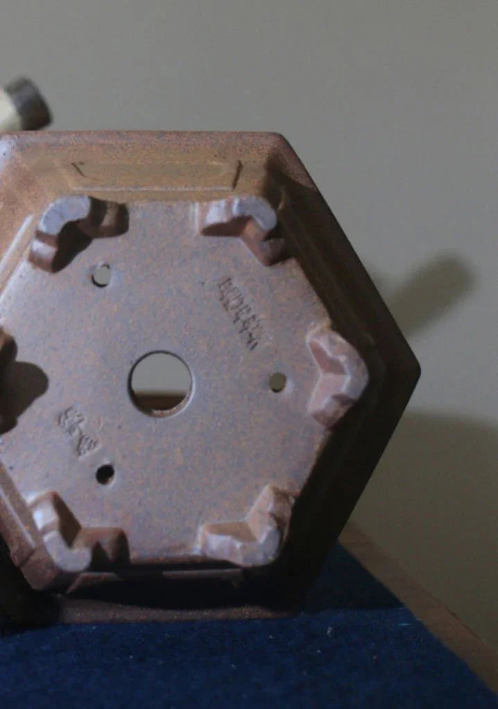 6.8" (17.5cm) Hexagonal Speckled Clay Finish Handmade Bonsai Pot Bottom View