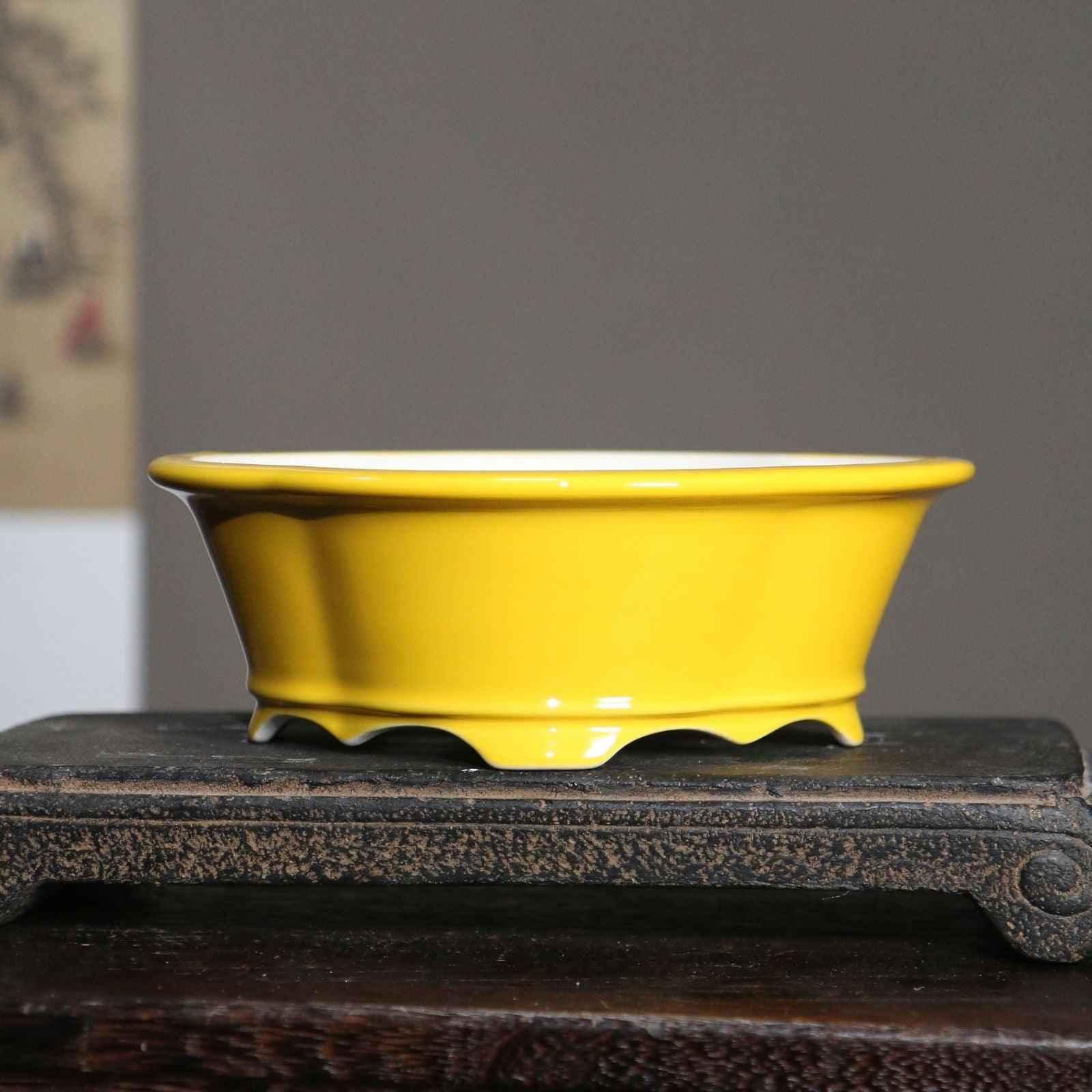 6.8" (17.5cm) Oval Lotus Shaped Glazed Bonsai Pots