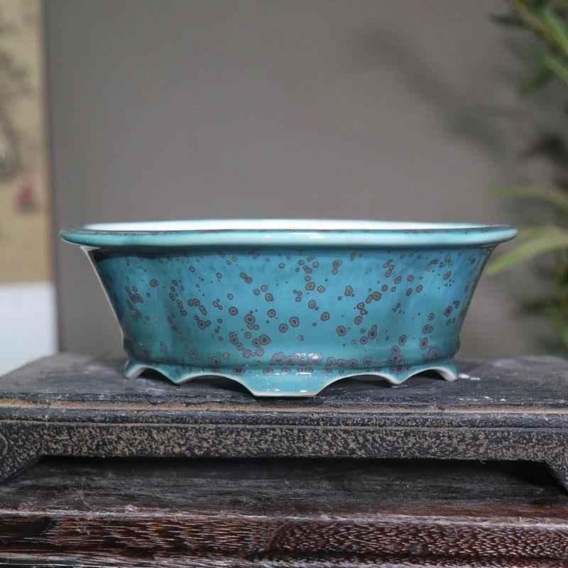 6.8" (17.5cm) Oval Lotus Shaped Glazed Bonsai Pots