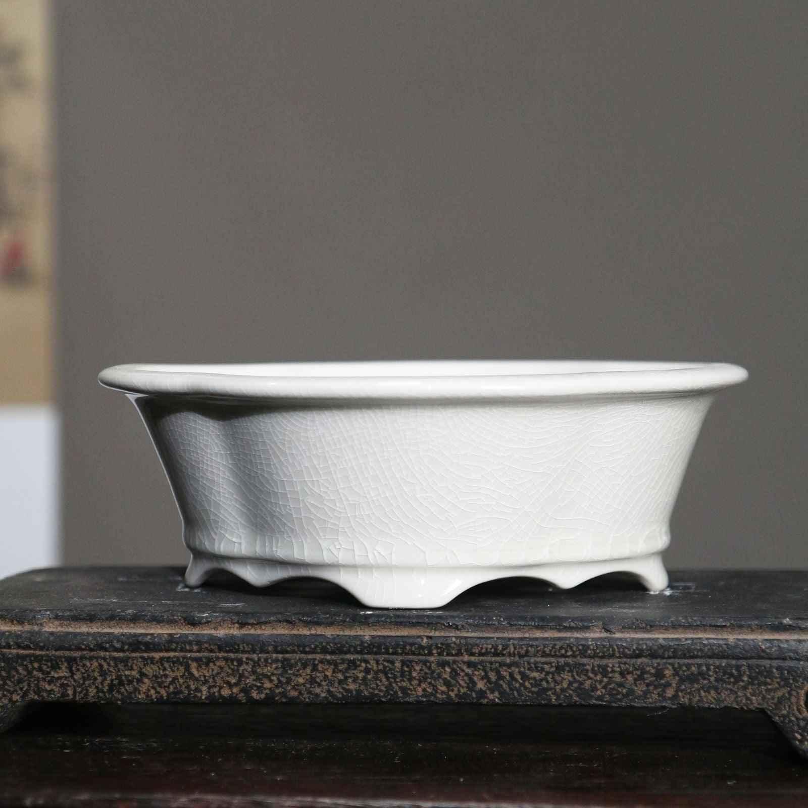 6.8" (17.5cm) Oval Lotus Shaped Glazed Bonsai Pots