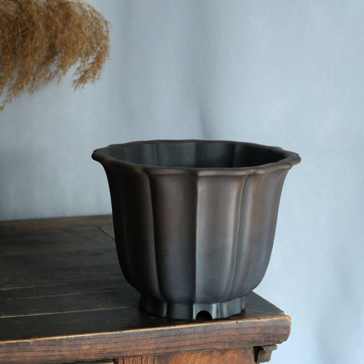 6.8 inch (17.5cm) Deep Lotus Shaped Flared Premium Semi Cascade Bonsai Pot Corner View