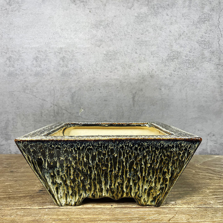 6.8 inch (17.5cm) Small Flared Square Multi-Tone Drip Glaze Premium Bonsai Pot Top View