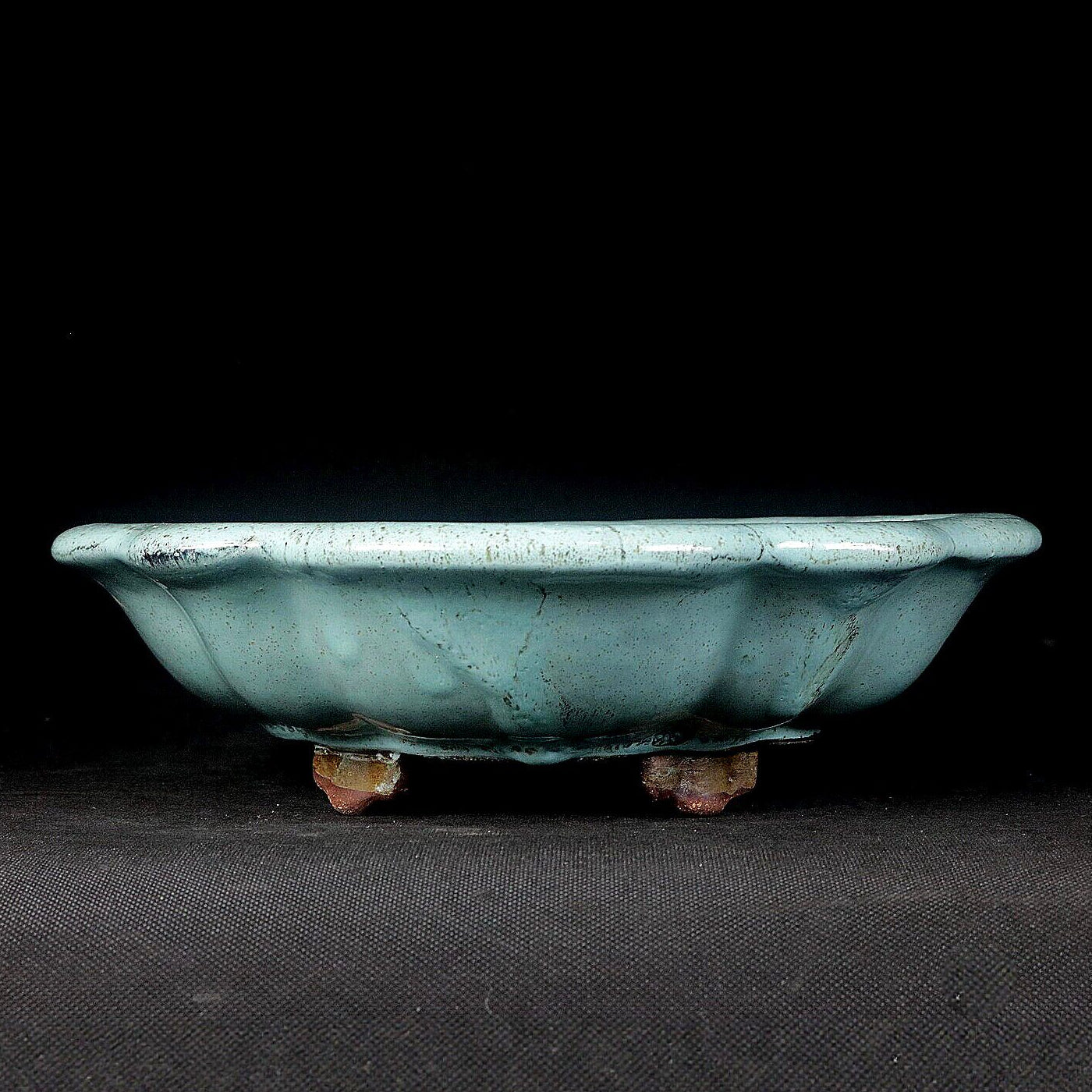 8.6" (22cm) Flared Scalloped Lotus-Shaped Green Glazed Shallow Bonsai Pot