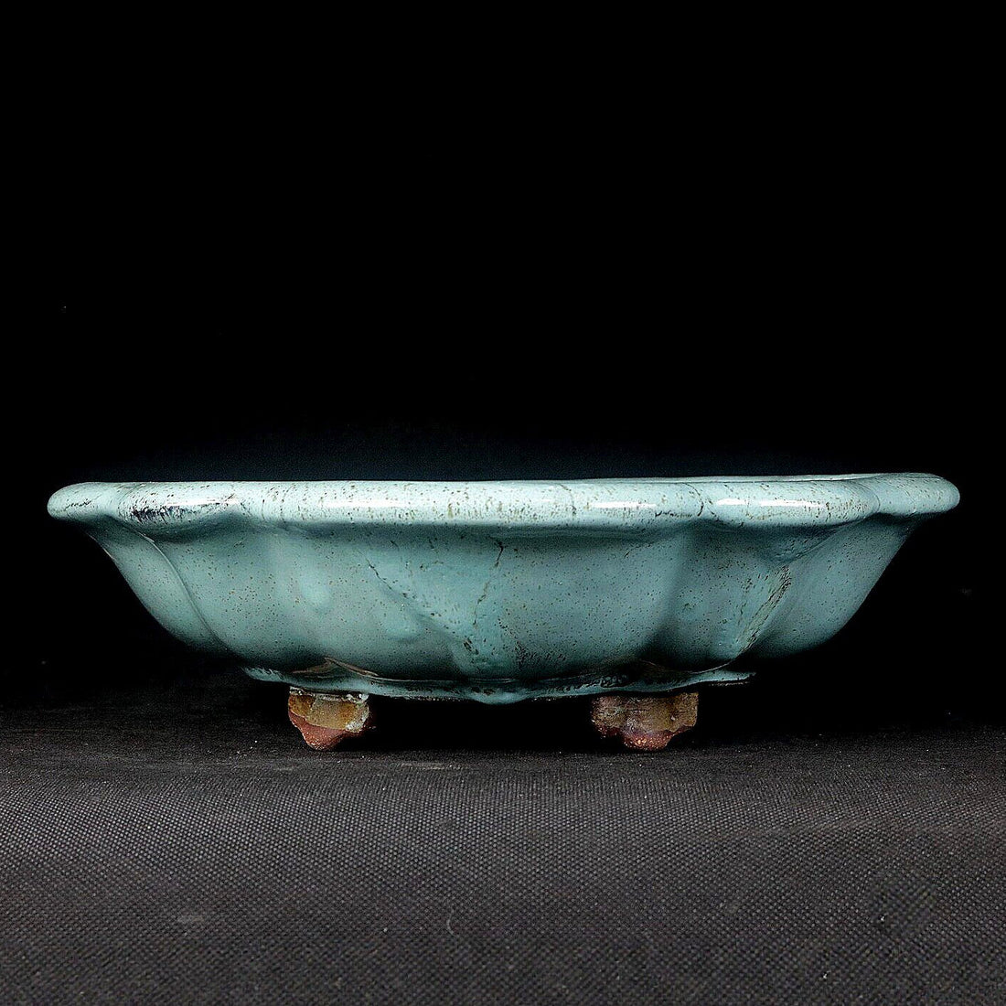 8.6" (22cm) Flared Scalloped Lotus-Shaped Green Glazed Shallow Bonsai Pot