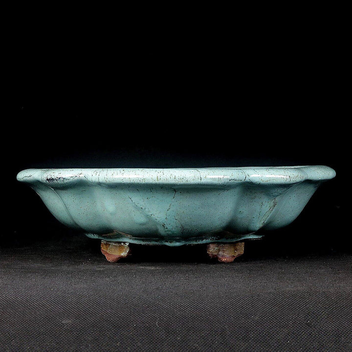 8.6" (22cm) Flared Scalloped Lotus-Shaped Green Glazed Shallow Bonsai Pot