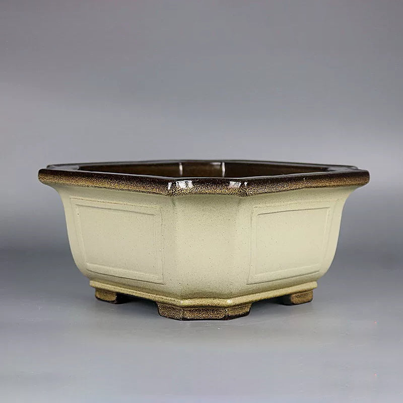 7.2 inch (18.5cm) Wide Square Corner-Cut Yellow-Brown Dual Tone Glazed Deep Bonsai Pot Corner View