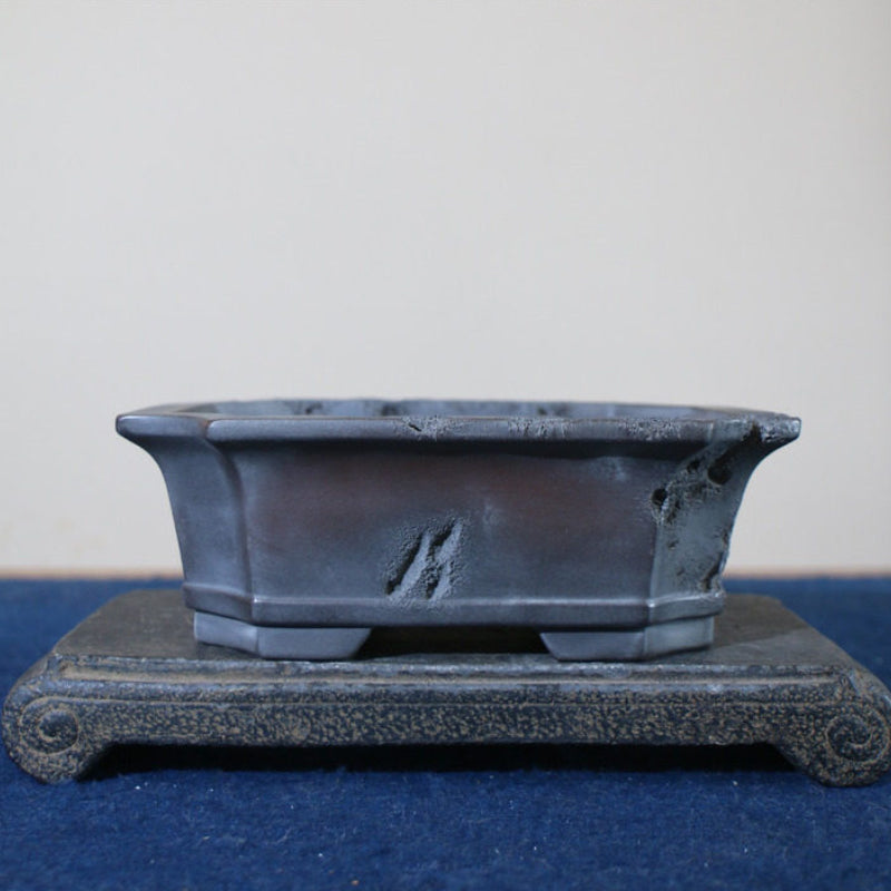 7.4 inch (19cm) Corner-Cut Rectangular Gradient Unglazed Bonsai Pot w Erosion-Like Finish Back View