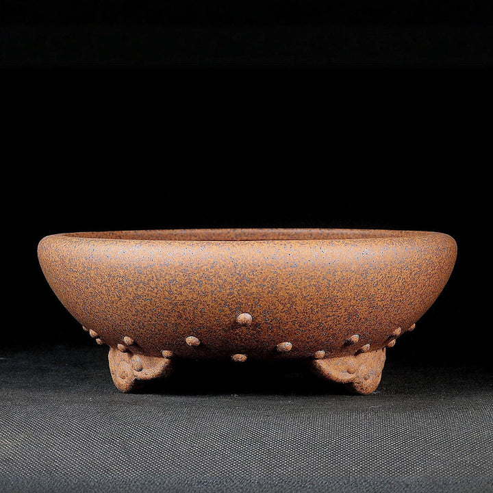 7.6 inch (19.5cm) Medium-Sized Round Speckled Finish Drum Bonsai Pot Corner View