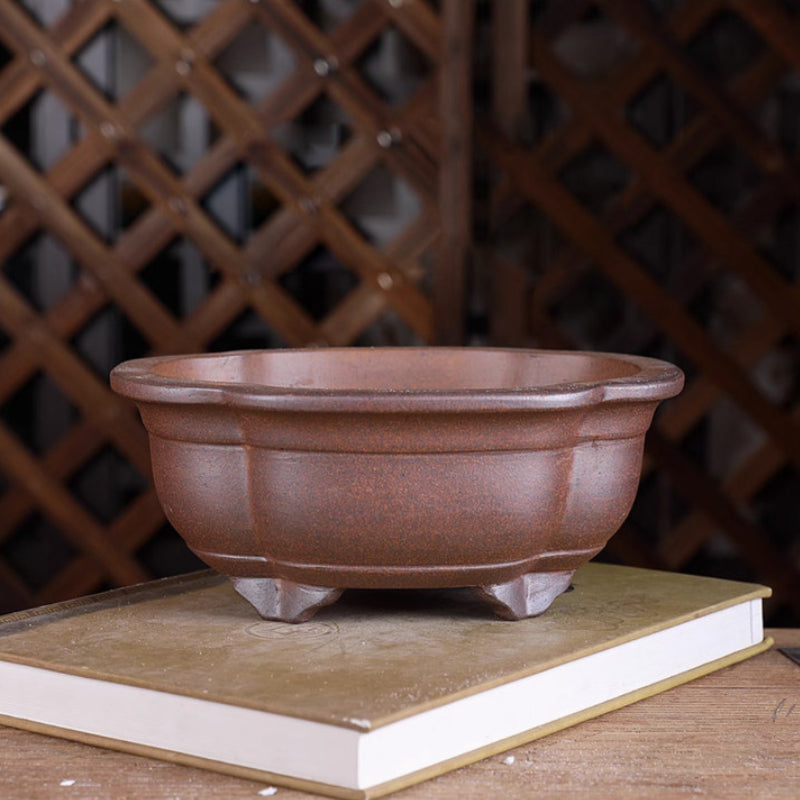 7.8 inch (20cm) Mid-Sized Lotus-Shaped Wood-Fired Unglazed Bonsai Pot