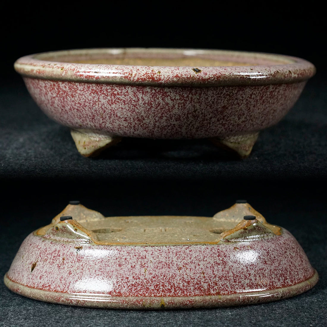 7.9 inch (20.2cm) Oval Pink-White Multi-Tone Jun Glaze Shallow Bonsai Pot Side View