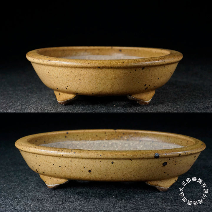 7.9 inch (20.2cm) Oval Yellow Jun Glaze Oval Shallow Bonsai Pot with Dark Speckles Side View