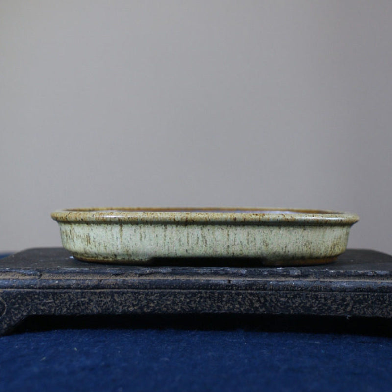7 inch (18cm) Mid-Sized Oval Multi-Tone Glazed Extra-Shallow Bonsai Pot Yellow Color