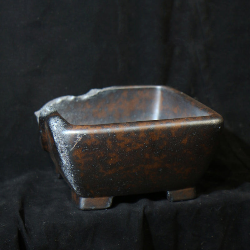 7 inch (18cm) Square Deep Bonsai Pot with Eroded Stone & Weathered Wood-Like Texture Back Corner View