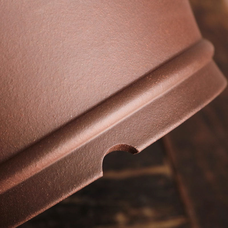 8.1 inch (20.8 cm) Medium-Sized Round Flared Minimalist Unglazed Bonsai Pot Bottom View Close Shot
