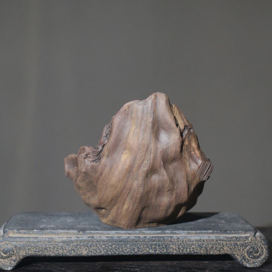 8.6" (22cm) Handcrafted Driftwood-Like Abstract Bonsai Pot Back View
