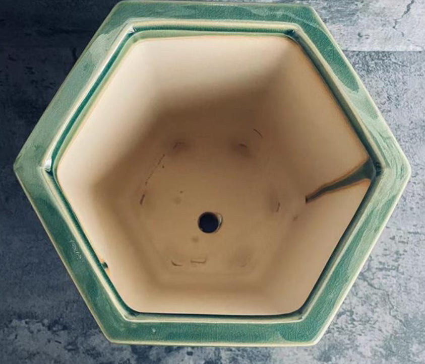 9.2" Deep Green Cracked Glaze Ceramic Cascade Bonsai Pot Inner View