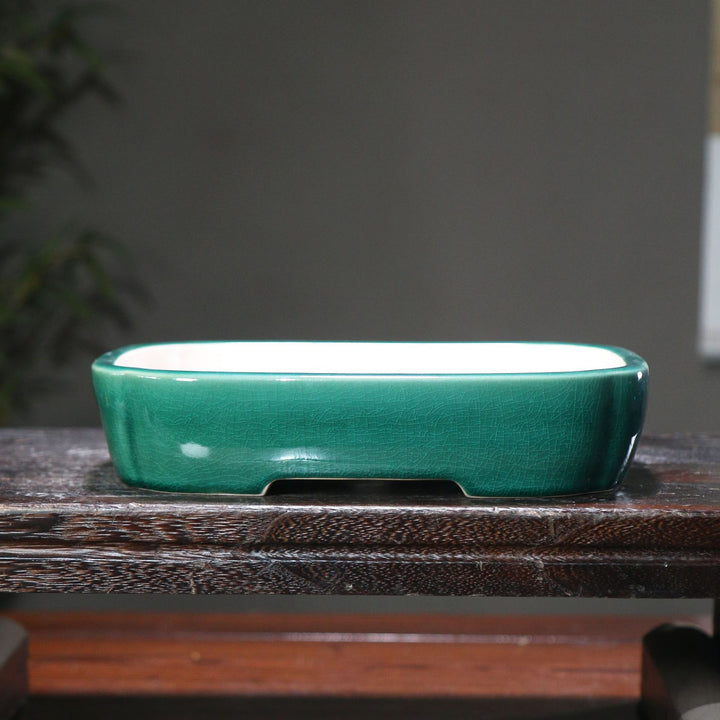 9.2 inch (23.5cm) Medium Rectangular Cracked Glaze Indented Cornered Shallow Bonsai Pots Green Color