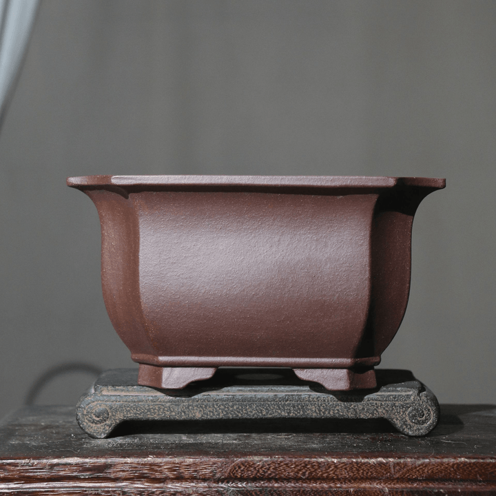 9.3" (23.7cm) Large Premium Square Traditional Deep Bonsai Pot Dark Brown Color
