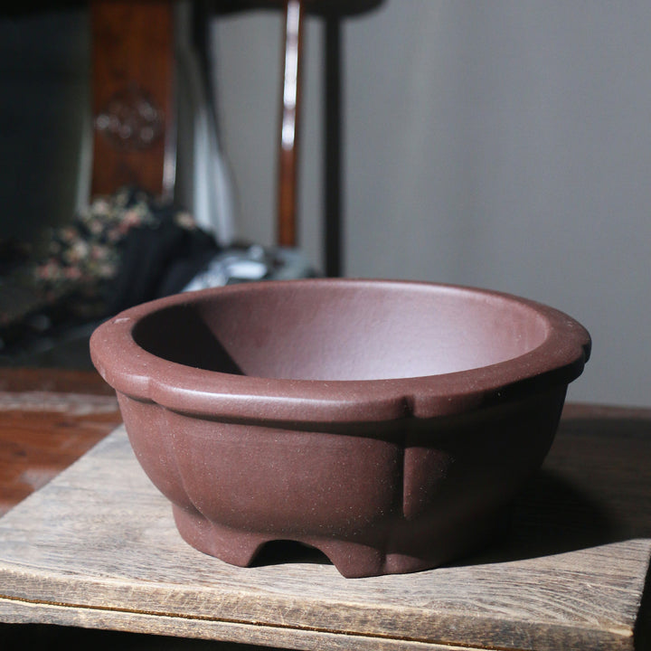 9.4 inch (24cm) Medium-Sized Round Premium Bonsai Pot w Scalloped Walls Corner View