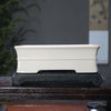 9.8 inch (25cm) Rectangle Cracked Glaze Bonsai Pots w Inward Curve & Raised Line White Color