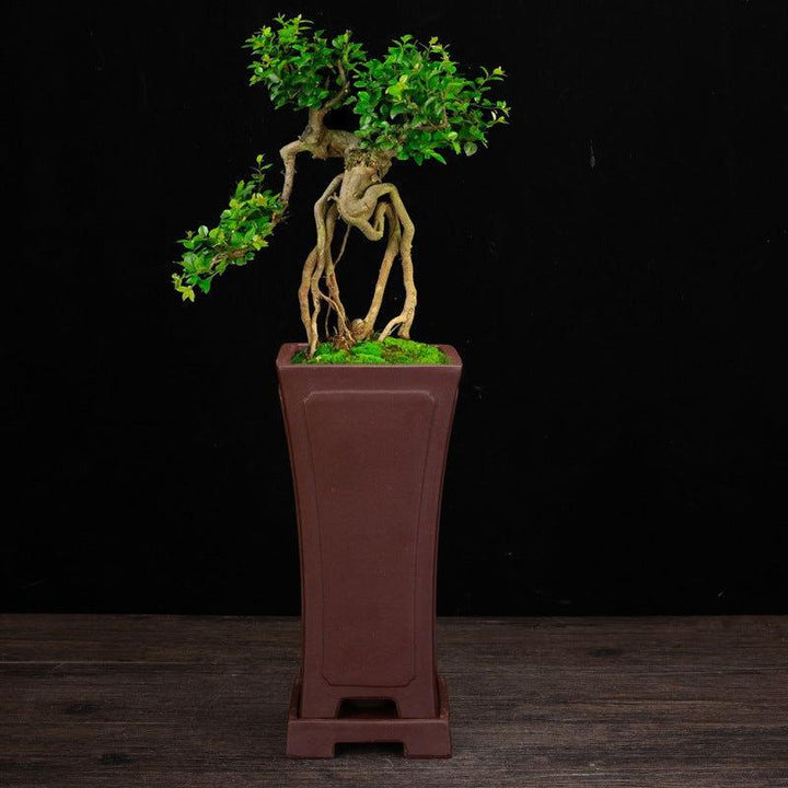 9" Deep Handmade Premium Unglazed Cascade Pots - Potscape