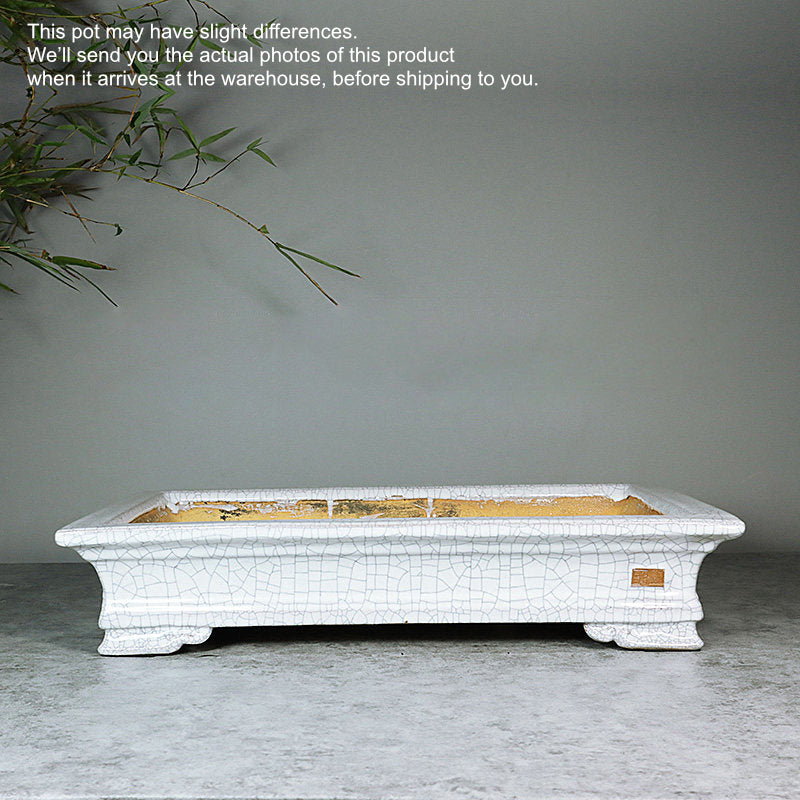 large bonsai tree pot White 14.3" (36.5cm) Large Rectangular Cracked Glaze Shallow Bonsai Pots