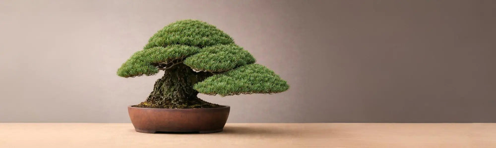 Potscape Homepage Banner