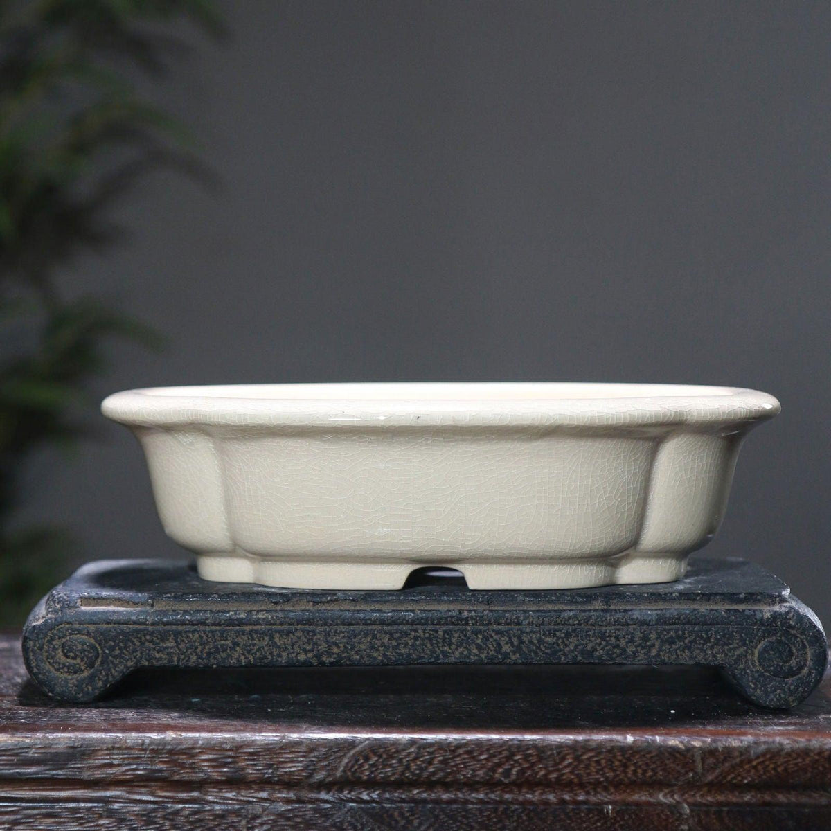 8.6" (22cm) Lotus Shaped Handmade Cracked Glaze Bonsai Pots Milky White Color