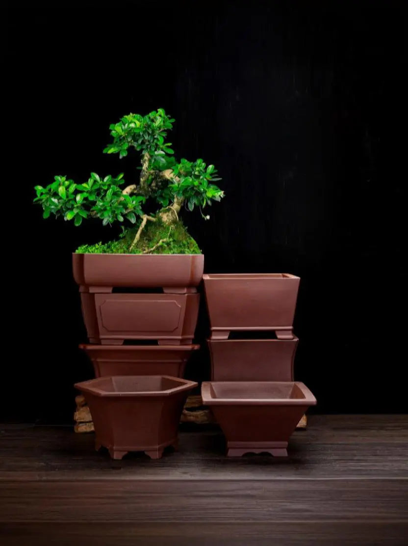Unglazed Bonsai Pots At Potscape