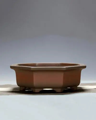 Unique & Premium Bonsai Pots At Potscape