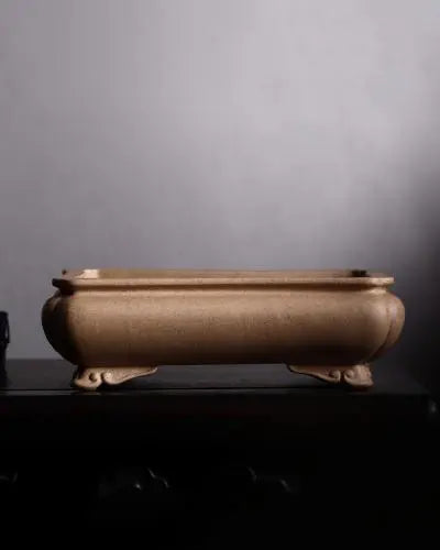 Unique & Premium Bonsai Pots At Potscape