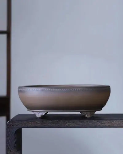 Unique & Premium Bonsai Pots At Potscape